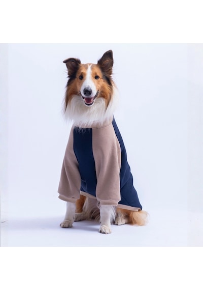 Lacivert Boston Pawstar Sweat Orta-büyük Irk Köpek Sweatshirt Köpek Sweat Köpek Kıyafeti Lacivert Boston Pawstar Sweat Orta-büyük Irk Köpek Sweatshirt Köpek Sweat Köpek Kıyafeti