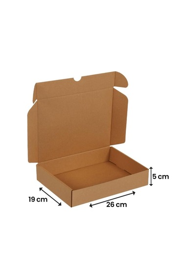 26x19x5-25 Adet Kilitli E Ticaret Karton Kargo Kutusu 1