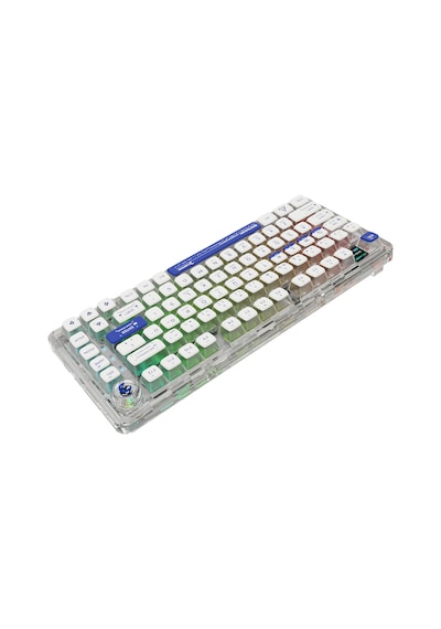 Gamepower Gasket Pro Kablolu-Kablosuz Rgb Mekanik Oyuncu Klavyesi