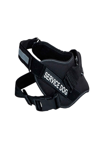 Orijin Pet Köpekler İçin Beden Tasması Xl 100-140 Cm Çok Renkli