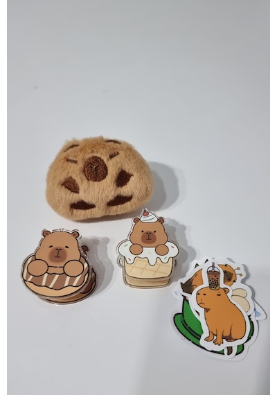 Capybara Desenli Çok Bölmeli Kalemlik - Peluş Bir Broş - 5 Stickers -2 Klips Hediye Pembe