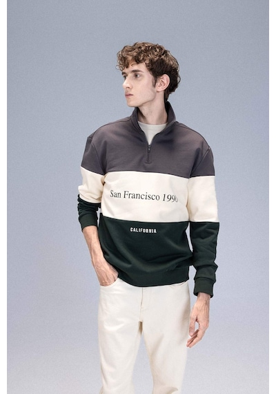 DeFacto Relax Fit Dik Yaka Fermuarlı Baskılı Kalın Sweatshirt D2562AX24AUAR63