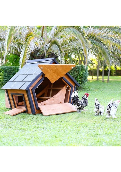 Ahşap Tavuk Kümesi 6 Tavuk Ve Güvercin Evi