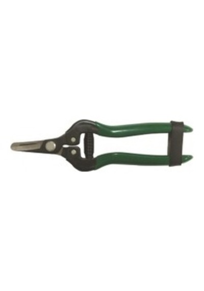 Narenciye Makası Ag-205 Al-Fa Green