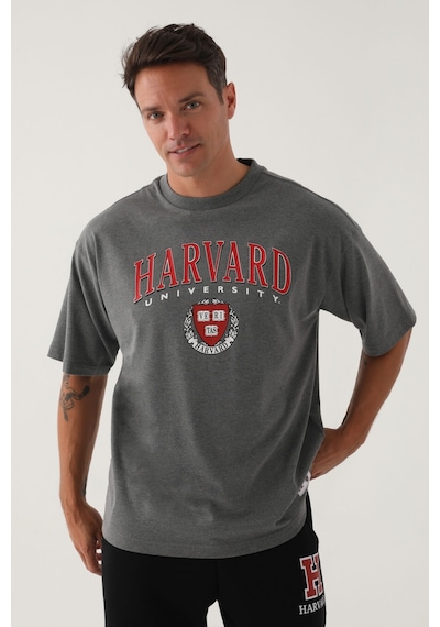 Harvard Erkek Antrasit Erkek Tshirt 5274-42469 Antrasit Melanj