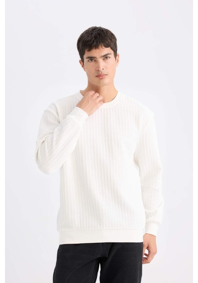 DeFacto Regular Fit Bisiklet Yaka Jakarlı Sweatshirt D5391AX24AUWT32