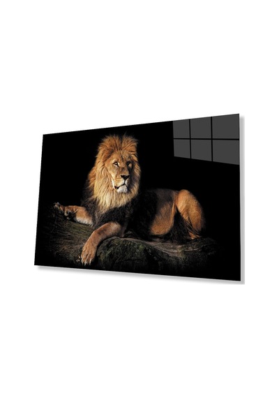 Aslan Hayvan Cam Tablo 4mm Dayanıklı Temperli Cam