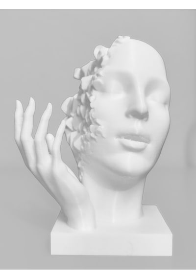 Postmodern 3d Yüz Heykeli