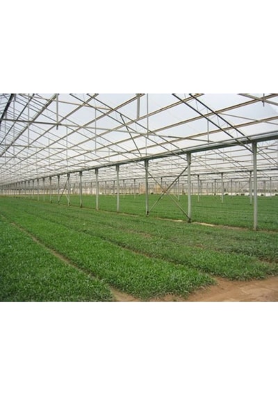 36 Aylık Sera Naylonu 360 Mikron Uv - Eva-ır-ao-ae Katkılı8 X10