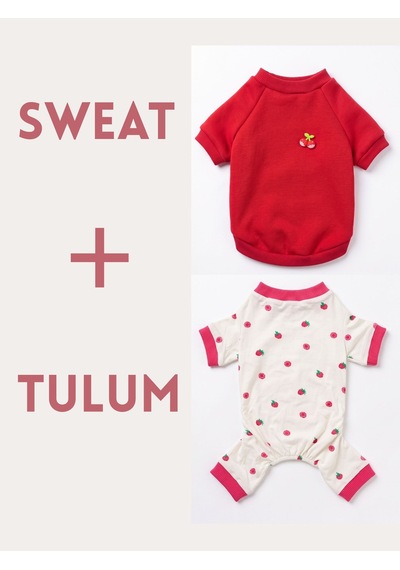 Tatlı Çilek Duo Çilekli Köpek Tulum & Sweat Kombini Tatlı Çilek Duo Çilekli Köpek Tulum & Sweat Kombini
