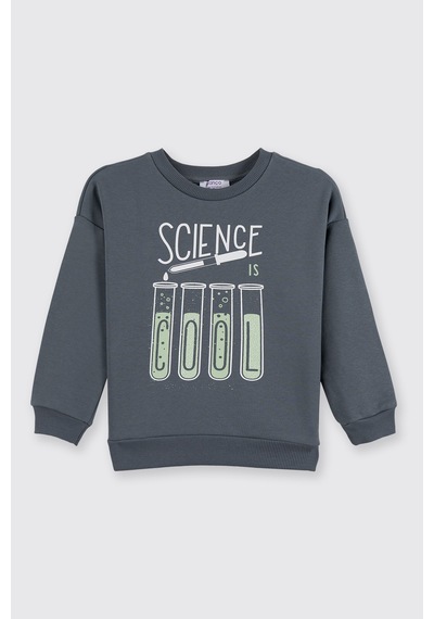 Panço Erkek Çocuk Baskılı Petrol Sweatshirt Mavi
