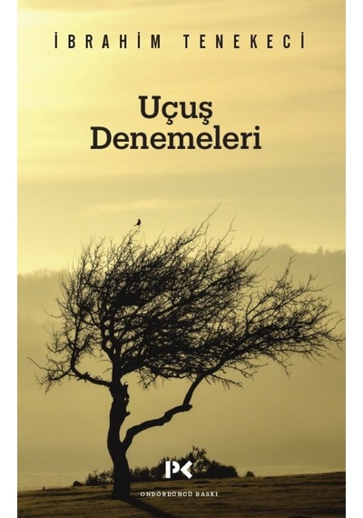 Uçuş Denemeleri Ibrahim Tenekeci Profil Kitap