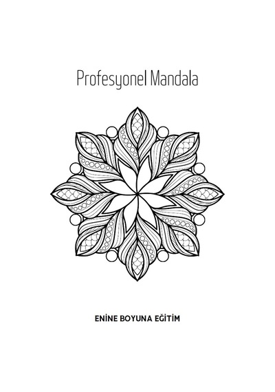 Süper Mandala Kitap Seti 3 Kitap