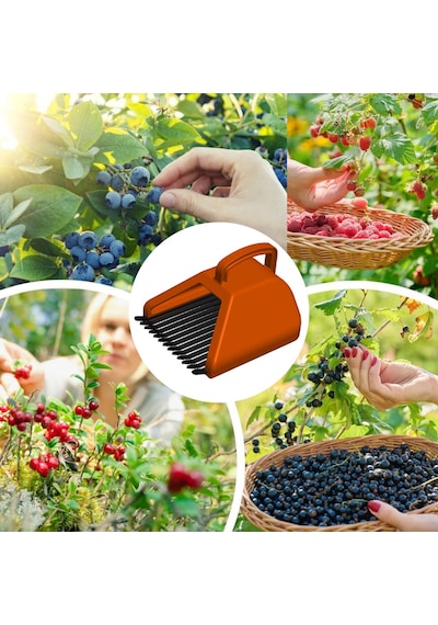 Blue Berry , Aronya , Kuşburnu Ve Meyve Toplama Tarağı Plastik B Alıç Toplama
