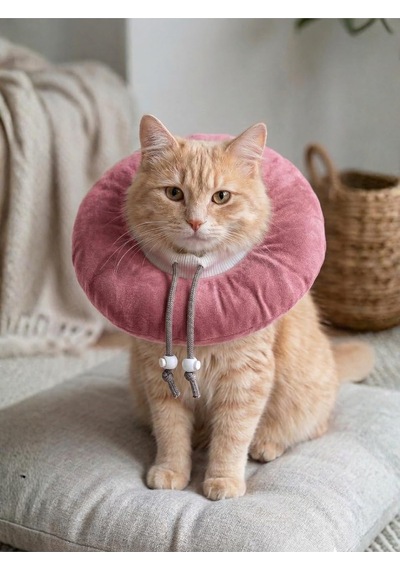 Patiderm Elizabeth Yakalık Yumuşak Ayarlanabilir Kedi Köpek Koruyucu Boyunluk, Pembe, M Beden