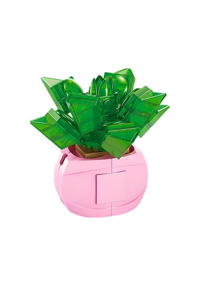 Ctoys Florist Burçlar Saksılı Bitki Yapım Seti Aquarius 8942 11