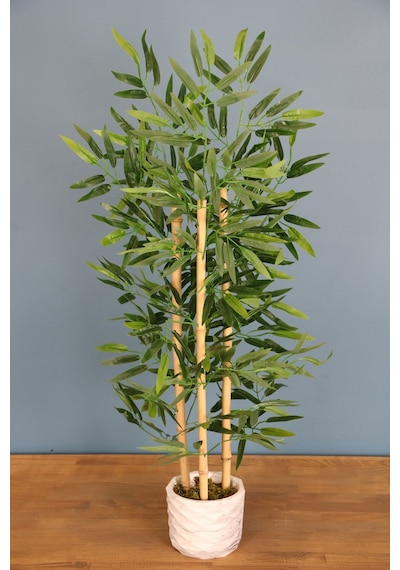 Bambu Ağacı 110 Cm 3 Gövdeli