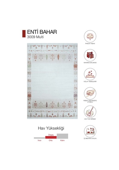 Enti Bahar 3009 Multi Halı - Etnik Bordür Desenli Salon Halısı Renkli