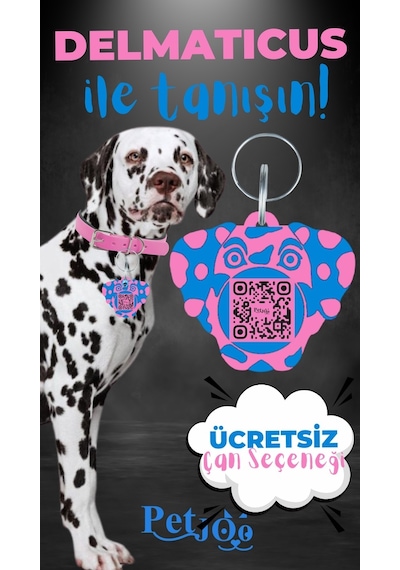 Petjoo 28.Delmaticus Mavi-Pembe Qr'lı Köpek Künyesi