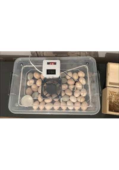 Kuluçka Makinası Rezistansı 530 Cm 220 Volt 250watt