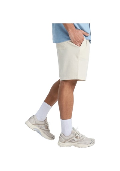 Quıksılver Quiksilver Basic Fleshortym Erkek Bej Şort 2035