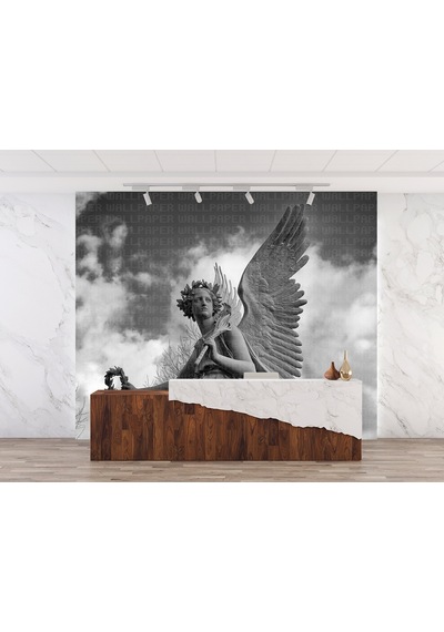 Melek Heykeli Ve Bulutlar Poster Duvar Kağıdı Renkli