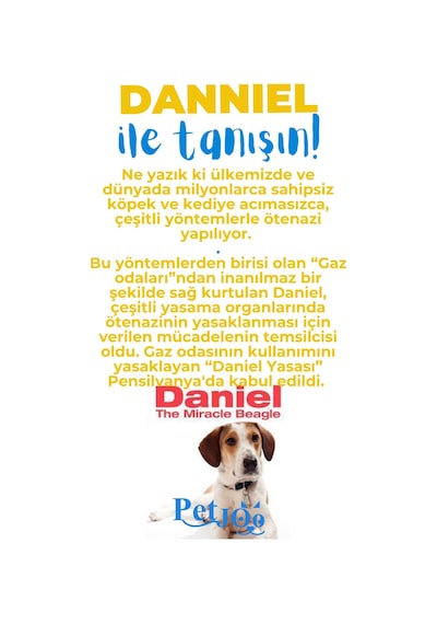 Petjoo 21.Danniel Mavi-Sarı Qr'lı Köpek Künyesi