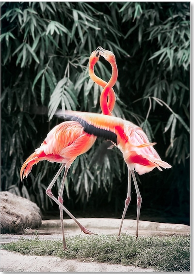 Cakasepetim Birbirine Sarılan Pembe Flamingo Kuşu Görseli Ahşap Mdf Tablo