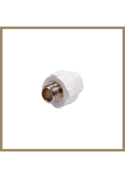 Bezos Pprc 20mm1/2 Dış Dişli Nipel 1 Adet 22