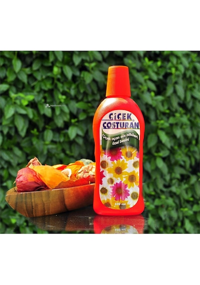 Çiçek Coşturan Çiçek Açan Süs Bitkileri için