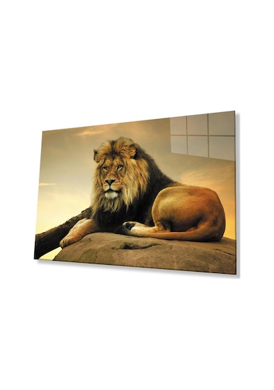 Aslan Cam Tablo 4mm Dayanıklı Temperli Cam91