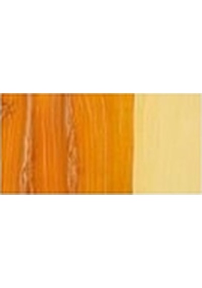 Talens Van Gogh Yağlı Boya 40 Ml. 244 Indian Yellow