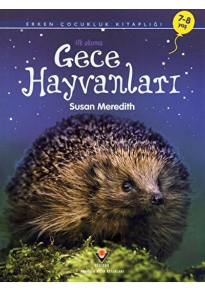 Gece Hayvanları