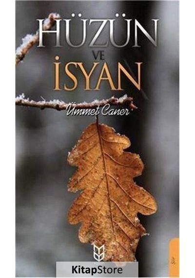 Hüzün ve İsyan - Ümmet Caner - Yason Yayıncılık
