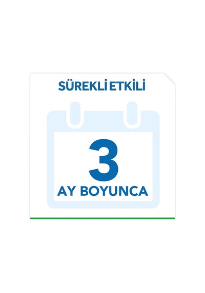 Raid Hamam Böceği Yemi 6'Lı X3