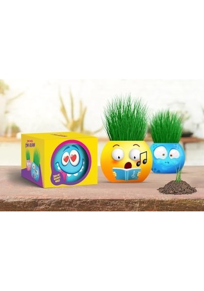 Yuup Emoji Temalı Çim Adam 6'lı Set Çocuklar İçin Eğitici Ve Eğlenceli Bitki Yetiştirme Kiti