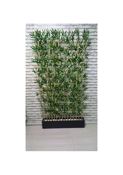 100 Cm Saksıda 200 Cm 15li Bambu Speratör Çok Renkli