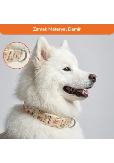 Desenli Köpek Boyun Tasması 25 Mm, Ayarlanabilir 39-55 Cm, Güçlendirilmiş Emniyet Kilitli Toka, Paslanmaz Metal D H Çok Renkli