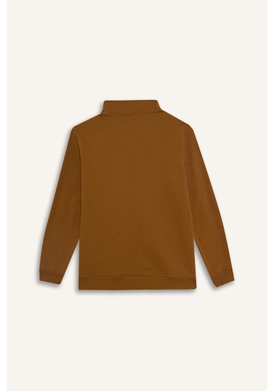 Defacto Regular Fit Yarım Balıkçı Yaka Fermuarlı Kalın Sweatshirt F4136ax25aubn152 Kahve