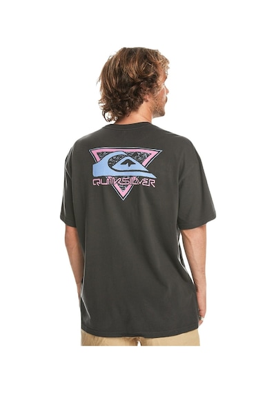 Quiksilver Eqyzt07654 Take Us Back Logo Ss Erkek Tişört 001