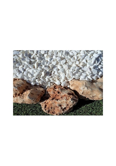 Dolomit Taş 5 Kg 1-2 Cm Beyaz Dolomit Bahçe Taşı Çakıl Taşı Saksı Taşı Akvaryum Teraryum Taşı