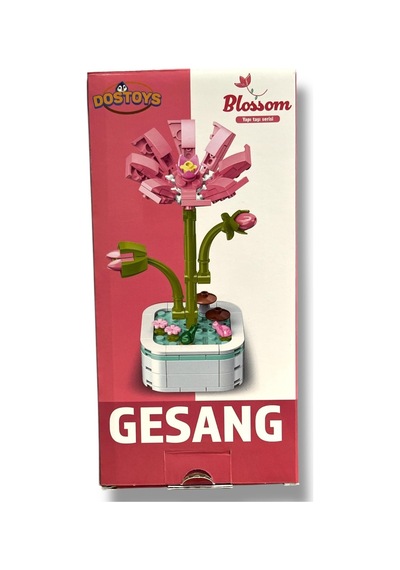 Dostoys Blok Gesang