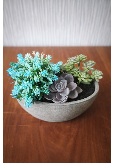 Yapay Sukulent Aranjman Kase Saksılı 15x8 Cm Dekoratif Bitki Modern Masa Üstü Çiçek