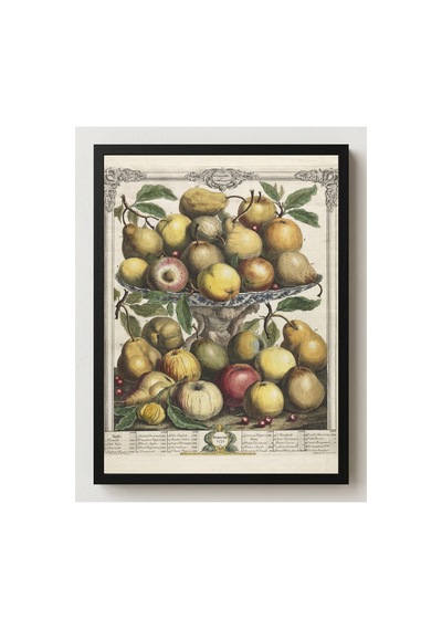 Botanik Fletcher Meyve Ayları Şubat Çerçevesiz Poster 21x30 Cm A4 Botanik Doğa Tarihi Duvar Dekoru