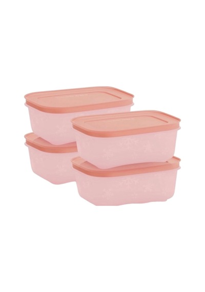 Tupperware Alaska Saklama Kabi 4 'lü Çok Renkli