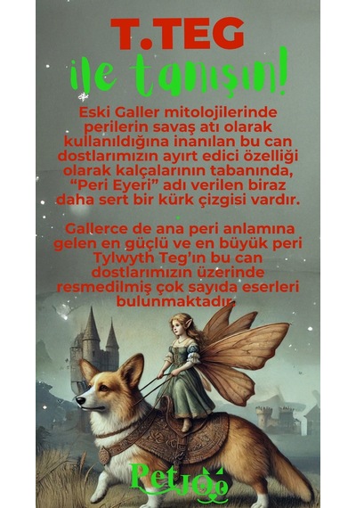 Petjoo 15.T.Teg Yeşil-Kırmızı Qr'lı Köpek Künyesi
