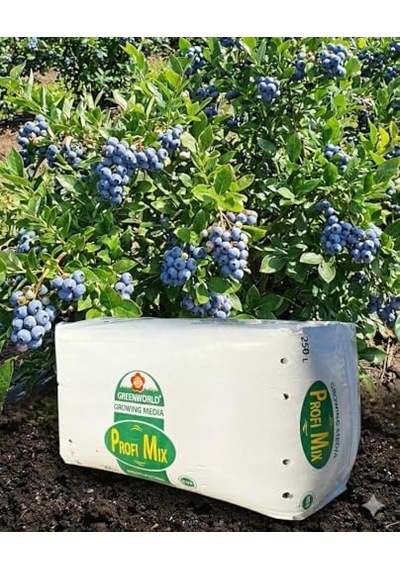 Profi Mix 250 Lt Profimix Ithal Blueberry Yaban Mersini Torfu - Ph 3,5-4,2 Asidik Toprak 0-40 Mm 0,250