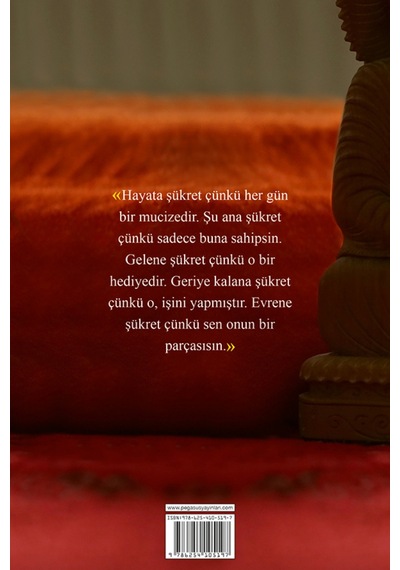 Kedileri Seven Keşiş: Yedi Keşif - Corrado Debiasi