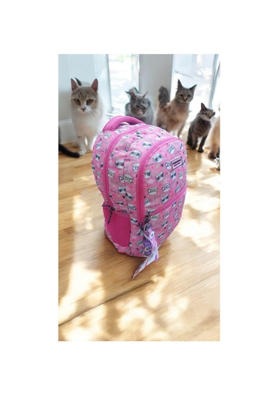 Genç Dijital Baskı Kitty Kedi Model Pembe Okul Çantası Ve Beslenme Çantası Seti Diğer
