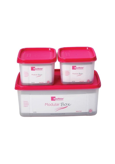 Moon Star Modüler Hava Sızdırmaz Saklama Kabı-25L 2X065L-Ms-0 N1125357 Çok Renkli